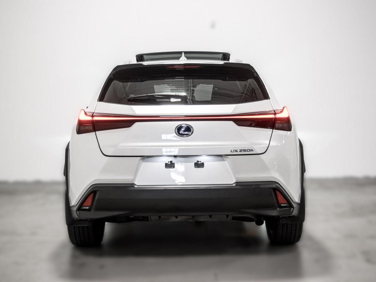 2019 Lexus UX 250h -4