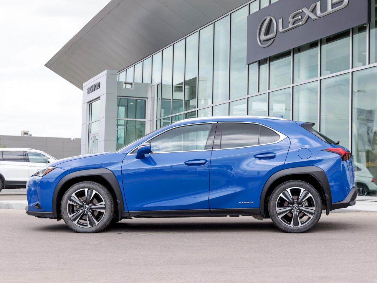2019 Lexus UX250h LUXURY-2