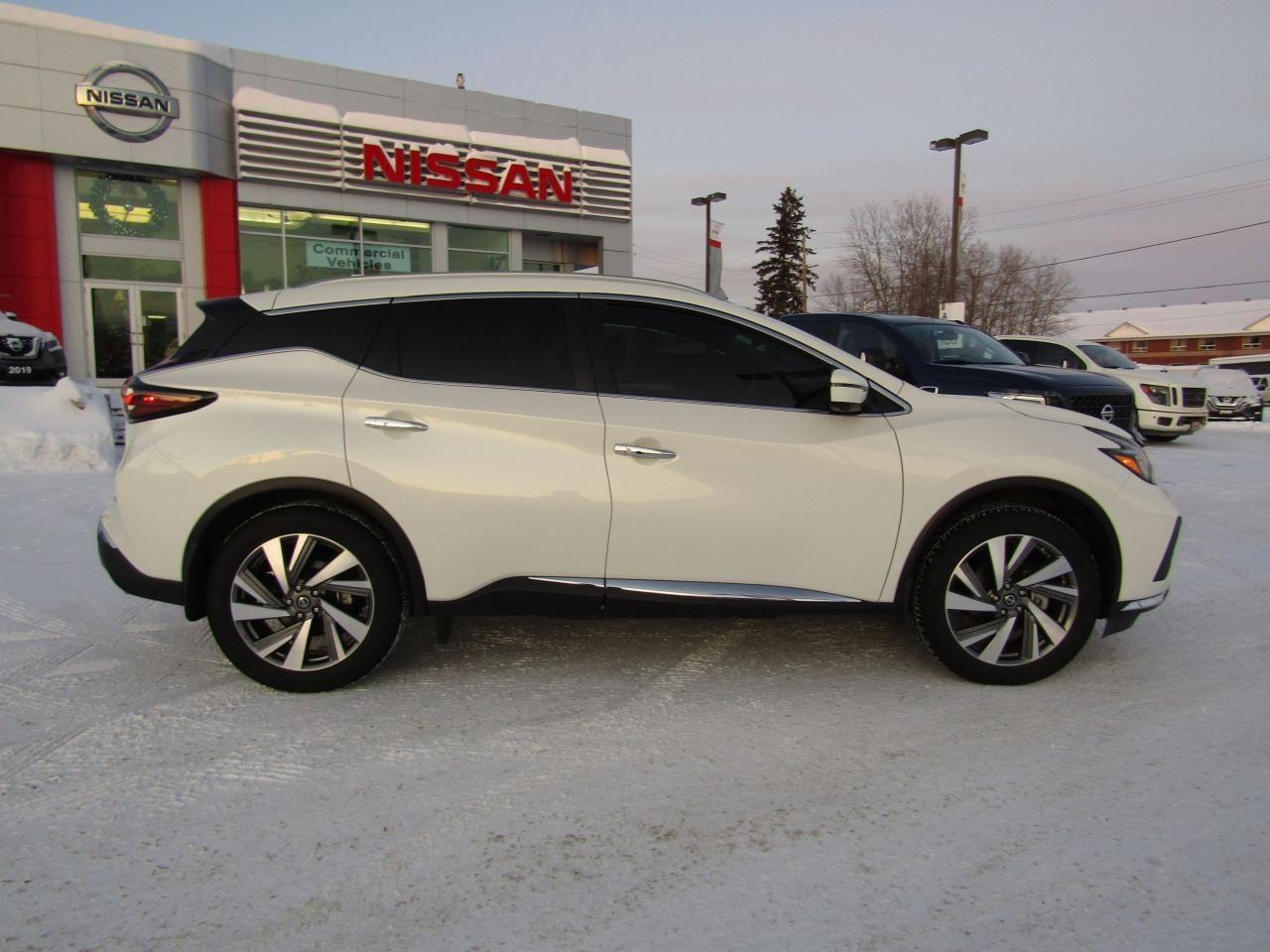 2019 Nissan Murano Platinum-3