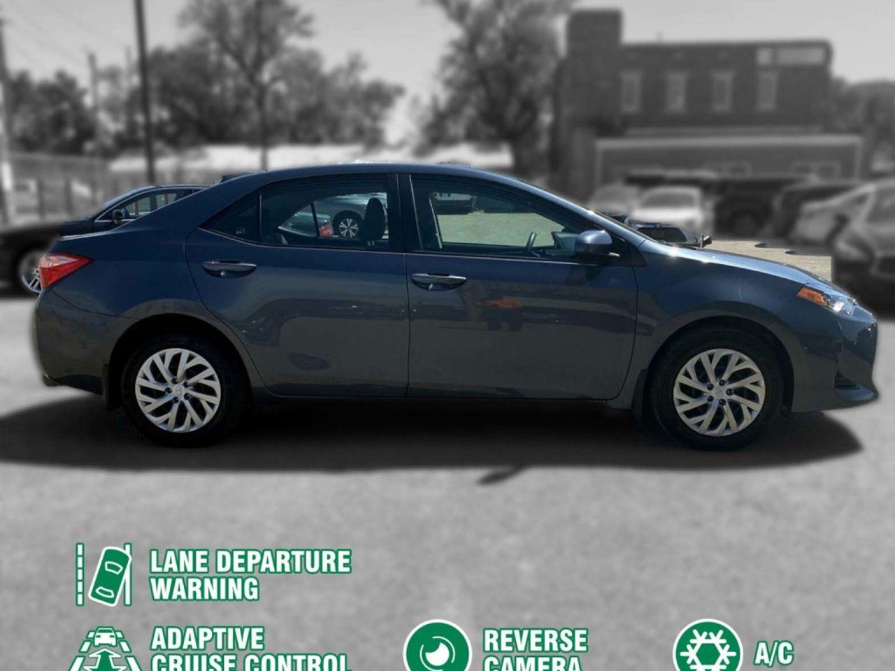 2019 Toyota Corolla LE-1