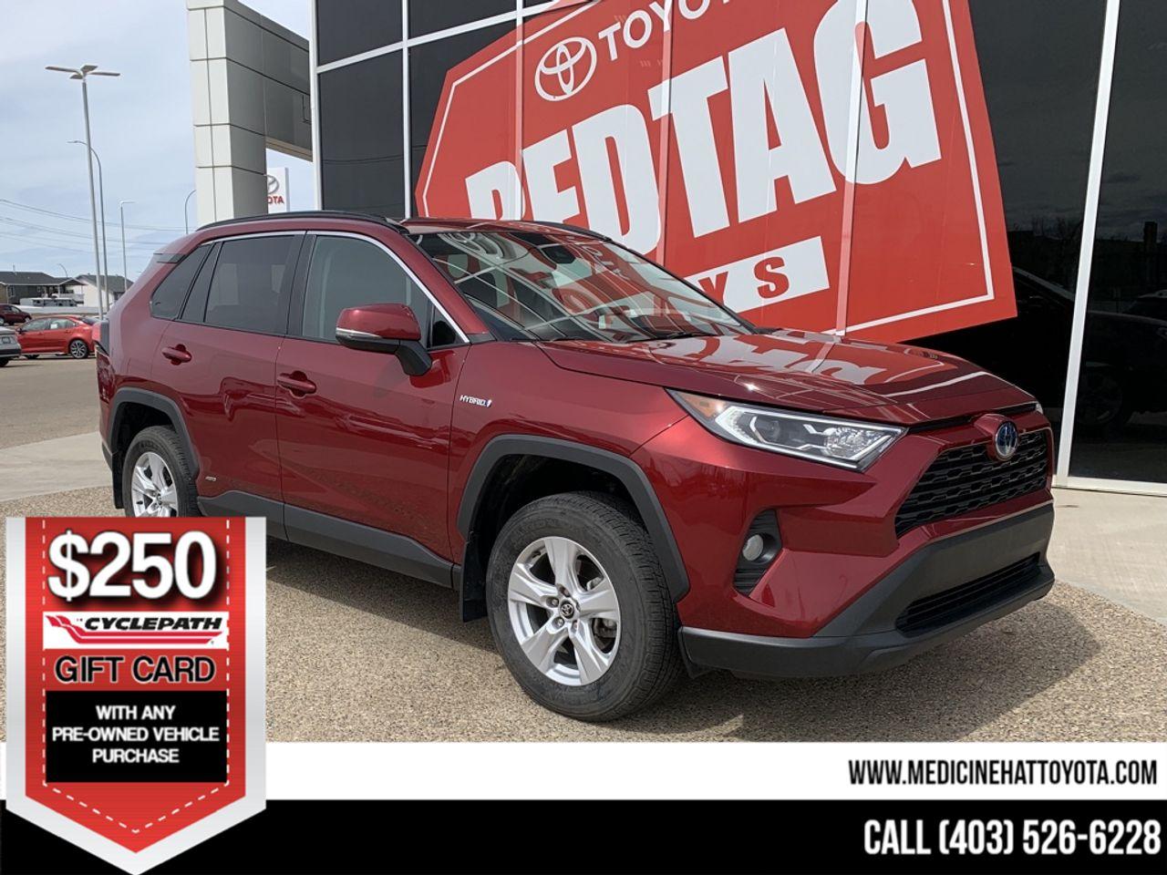 2019 Toyota RAV4 Hybrid XLE-0