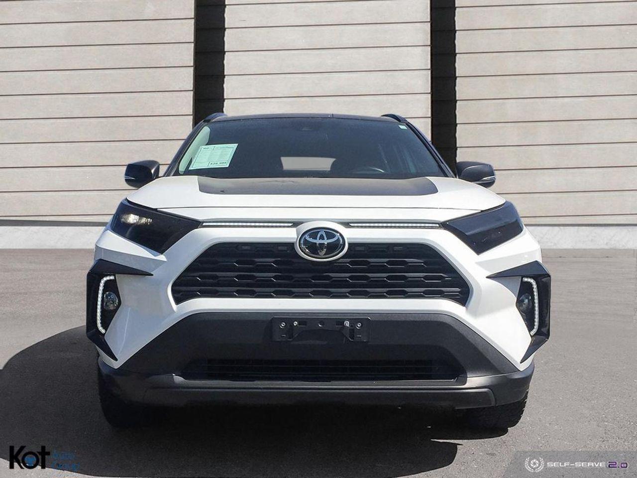 2019 Toyota RAV4 LE-1
