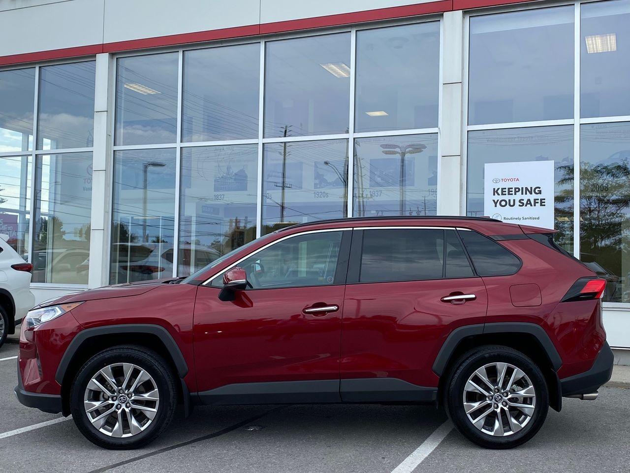 2019 Toyota RAV4 Limited-3