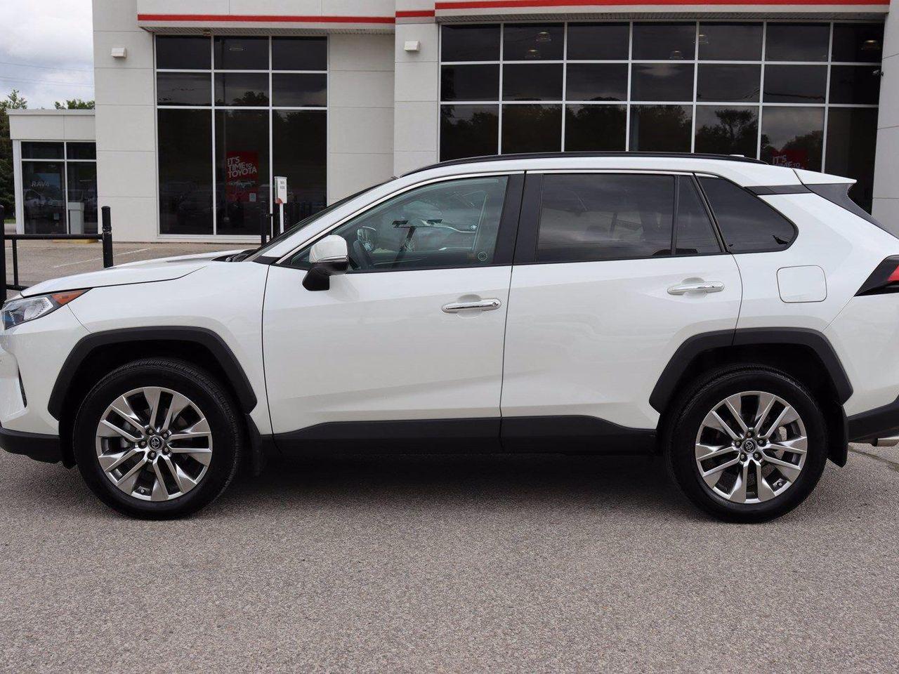 2019 Toyota RAV4 Limited-1