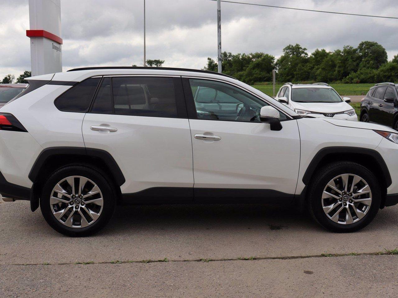 2019 Toyota RAV4 Limited-3