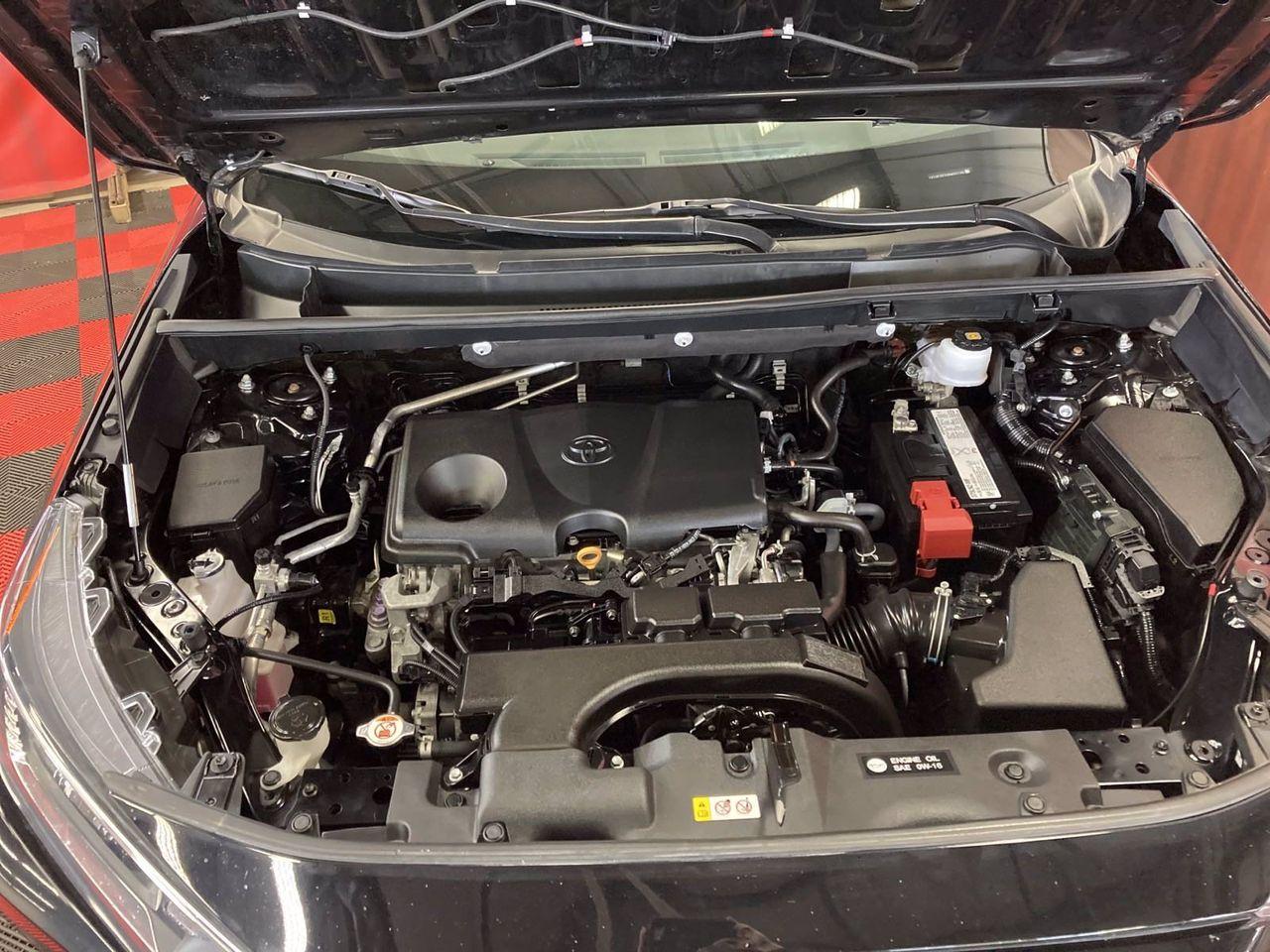 2019 Toyota RAV4 XLE-2