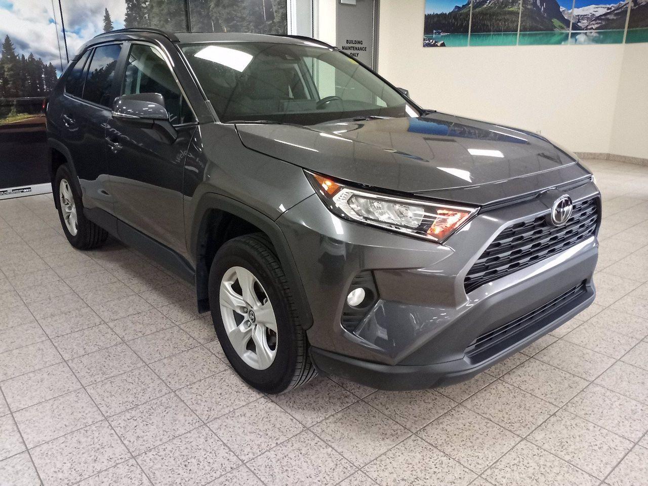 2019 Toyota RAV4 XLE-2