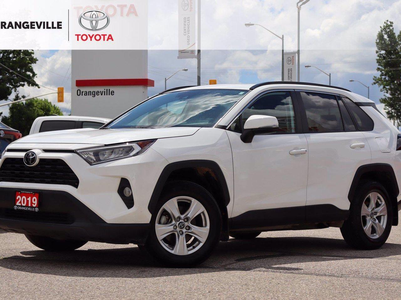 2019 Toyota RAV4 XLE-0
