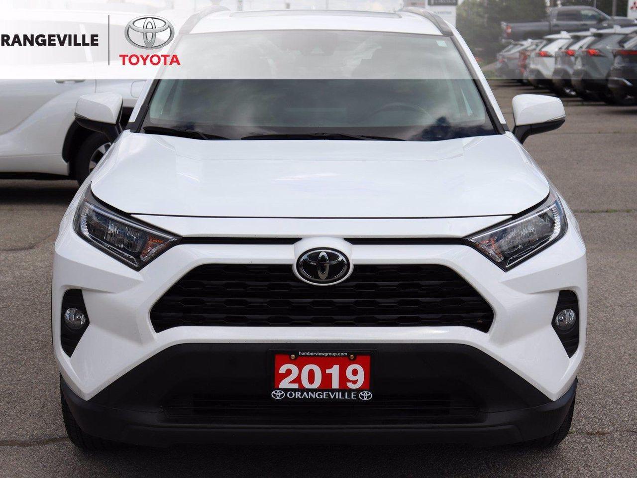 2019 Toyota RAV4 XLE-4