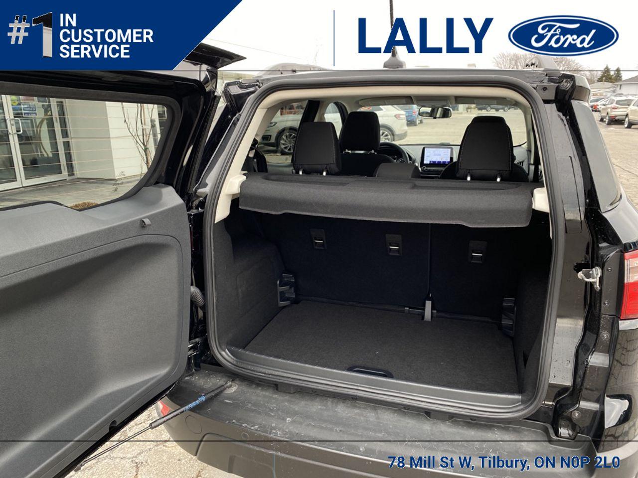 2020 Ford EcoSport SE-3