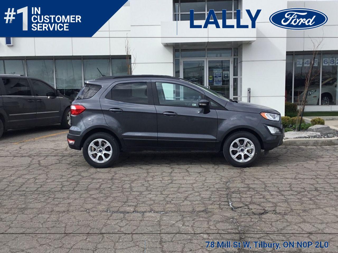 2020 Ford EcoSport SE-1