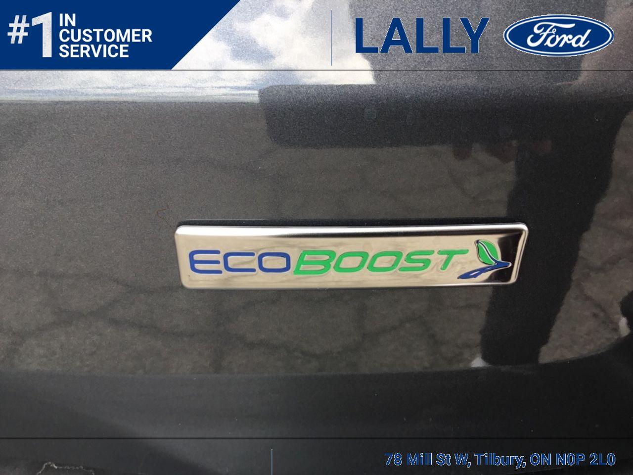 2020 Ford EcoSport SE-3