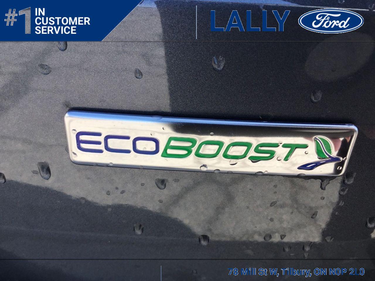 2020 Ford EcoSport SE-3