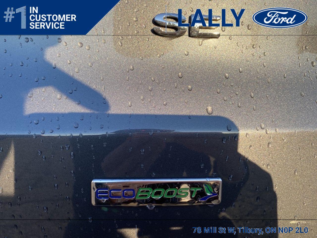 2020 Ford EcoSport SE-3