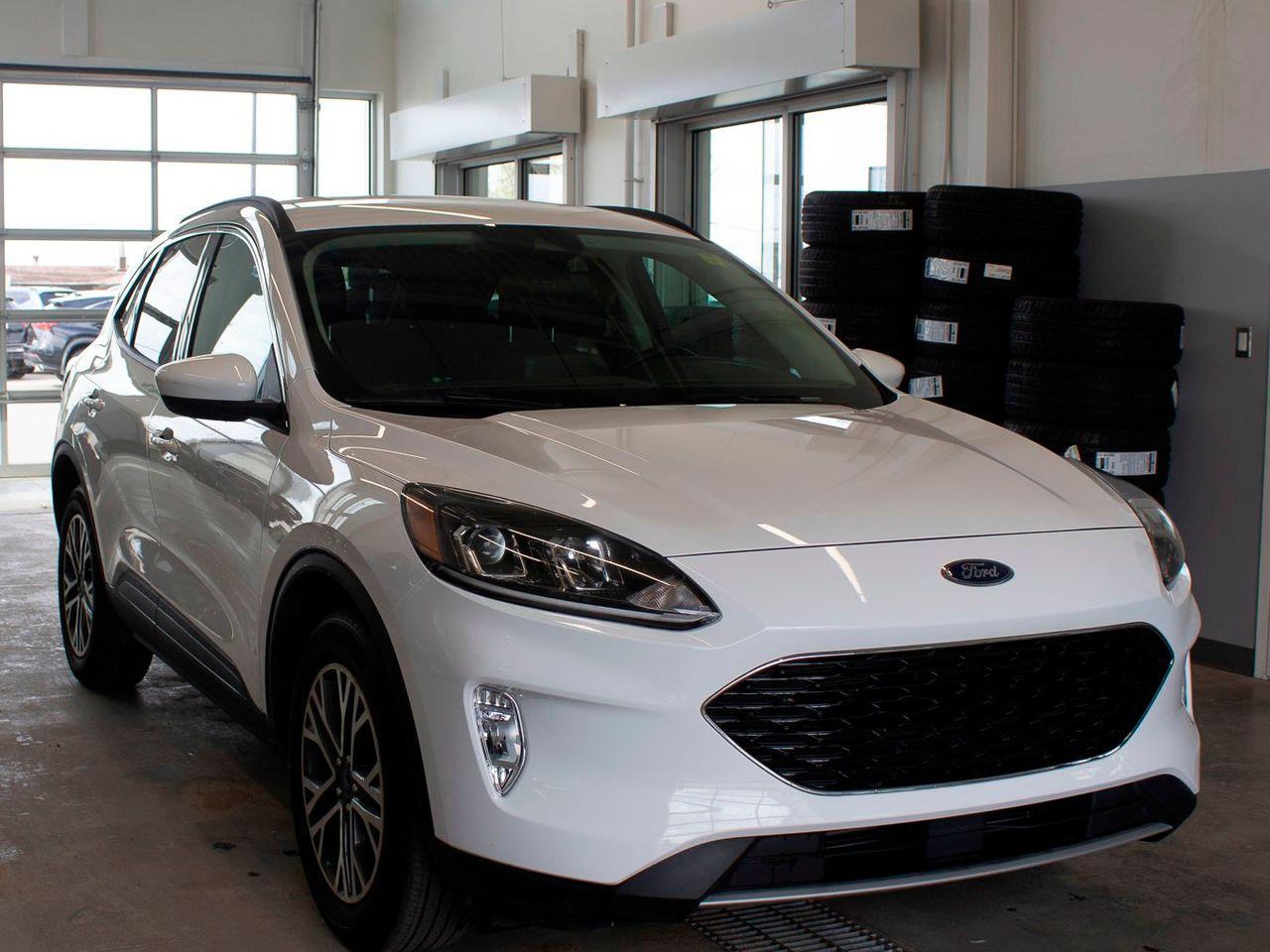 2020 Ford Escape SEL-2