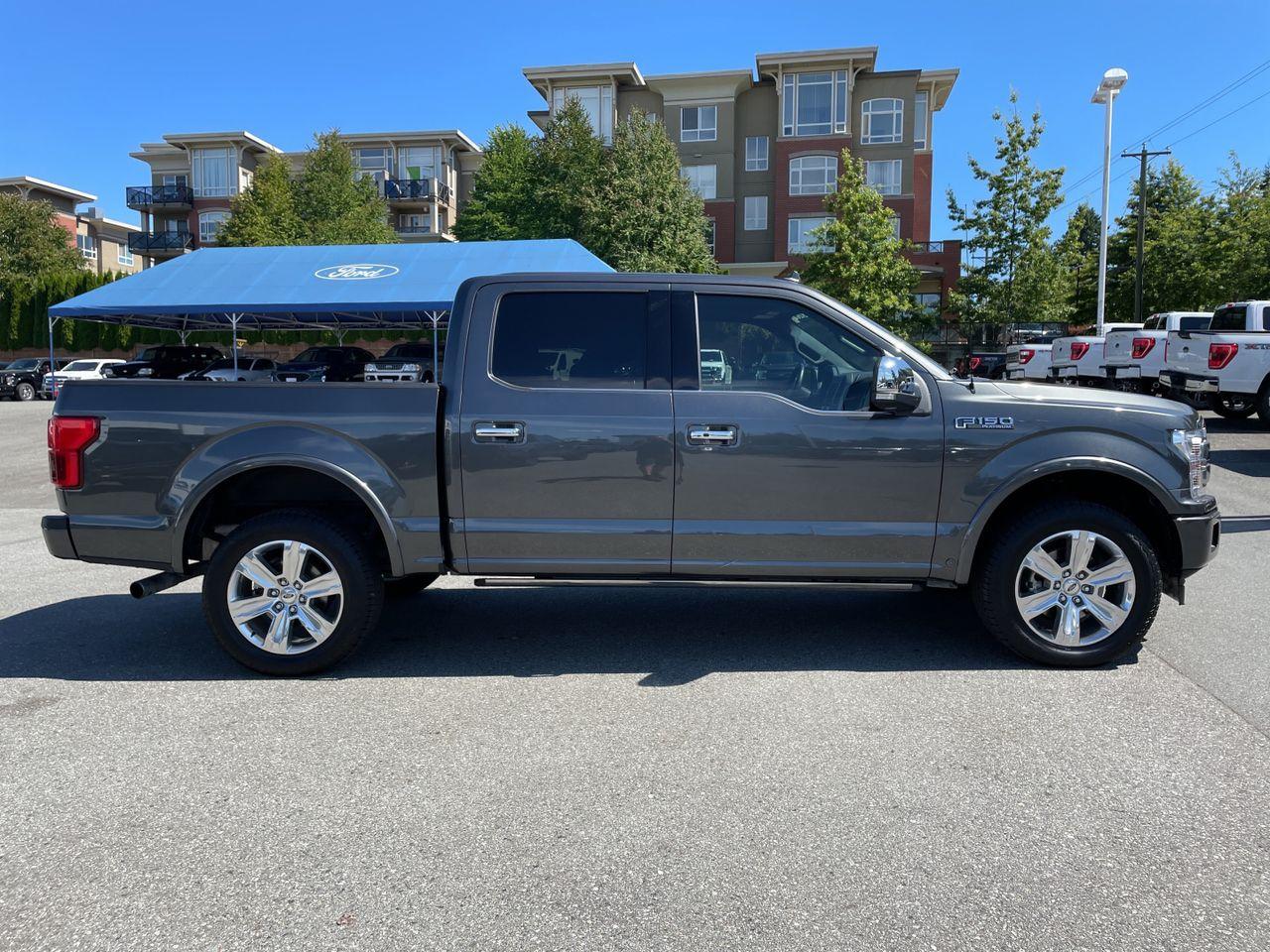 2020 Ford F-150 Platinum-4