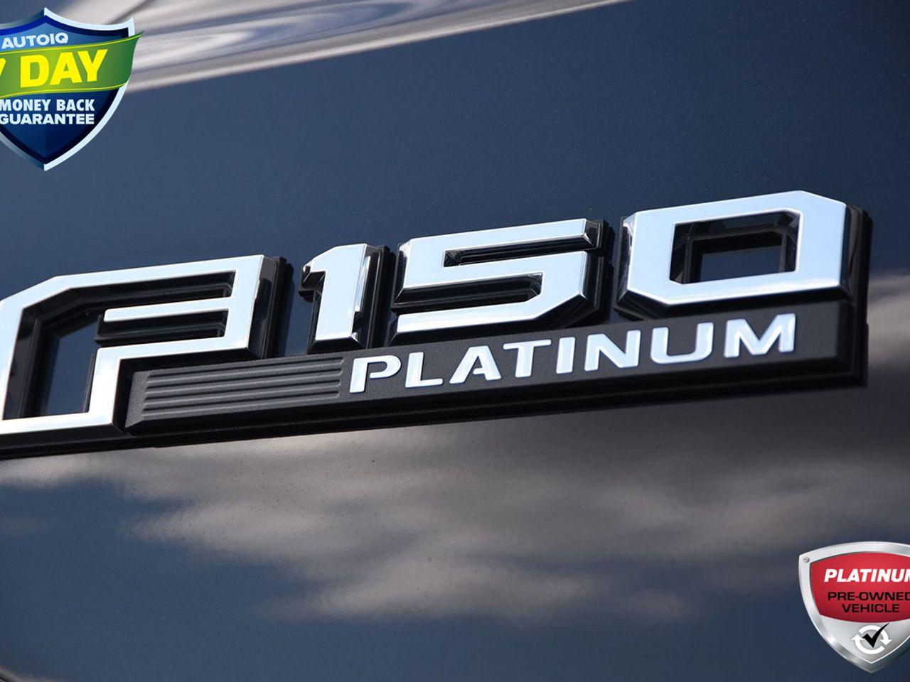 2020 Ford F-150 Platinum-4