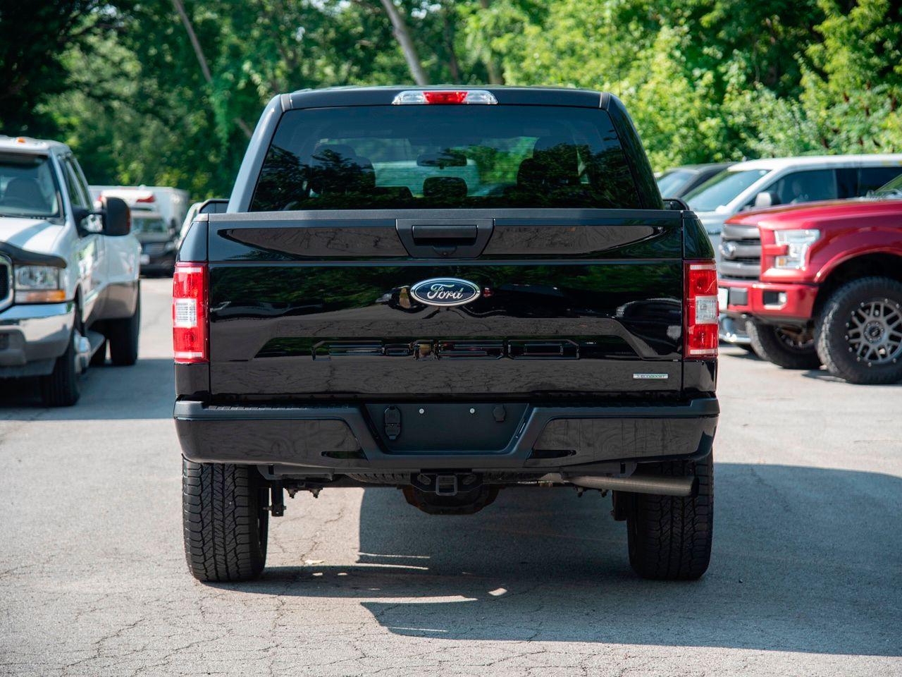 2020 Ford F-150 XL-3