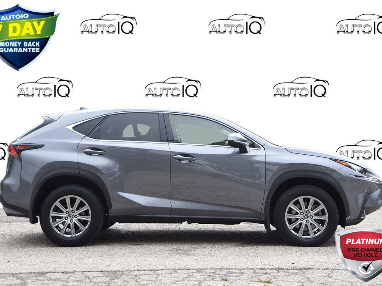 2020 Lexus NX 300 Base-1