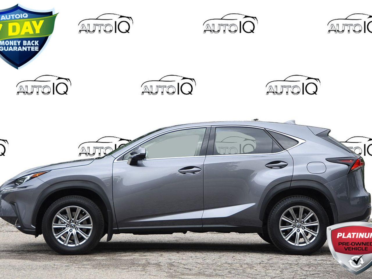 2020 Lexus NX 300 Base-2