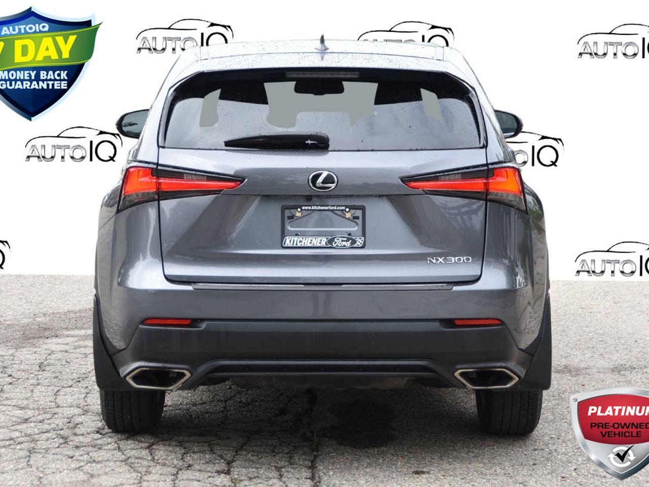 2020 Lexus NX 300 Base-3