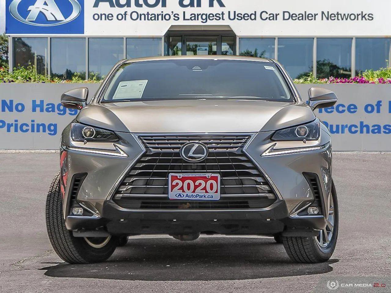 2020 Lexus NX 300 Base-1
