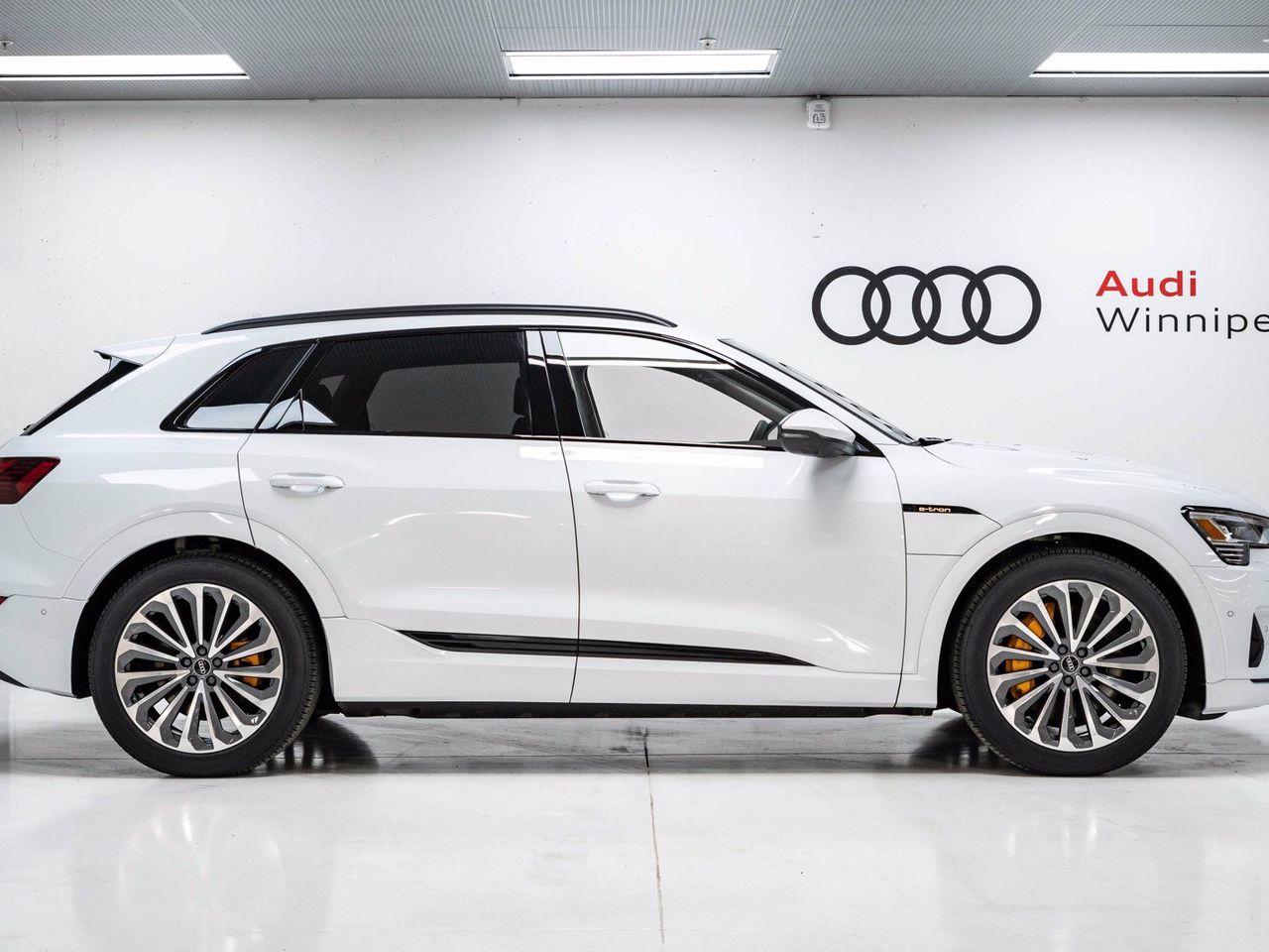 2021 Audi e-tron Technik-3