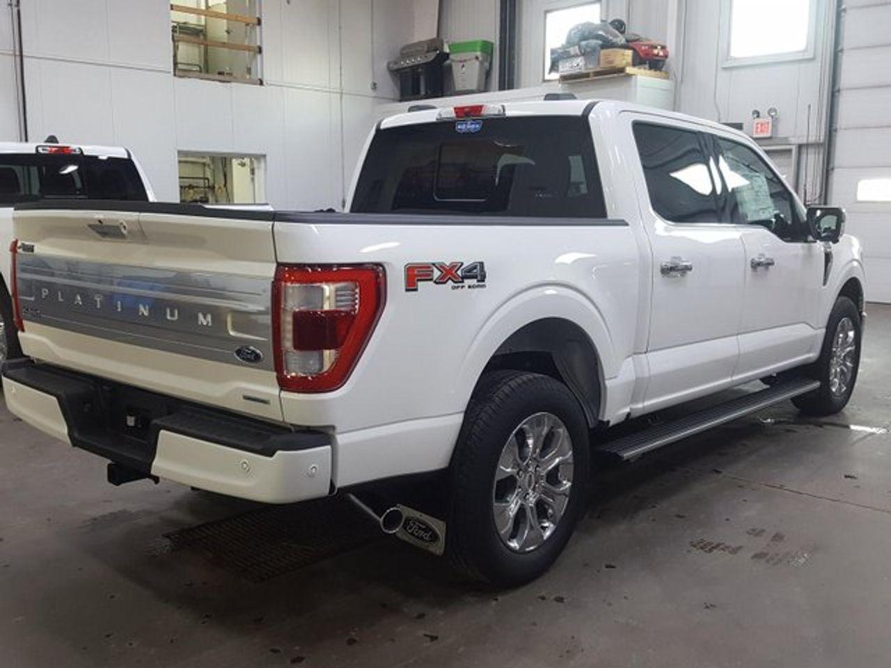 2021 Ford F-150 Platinum-3