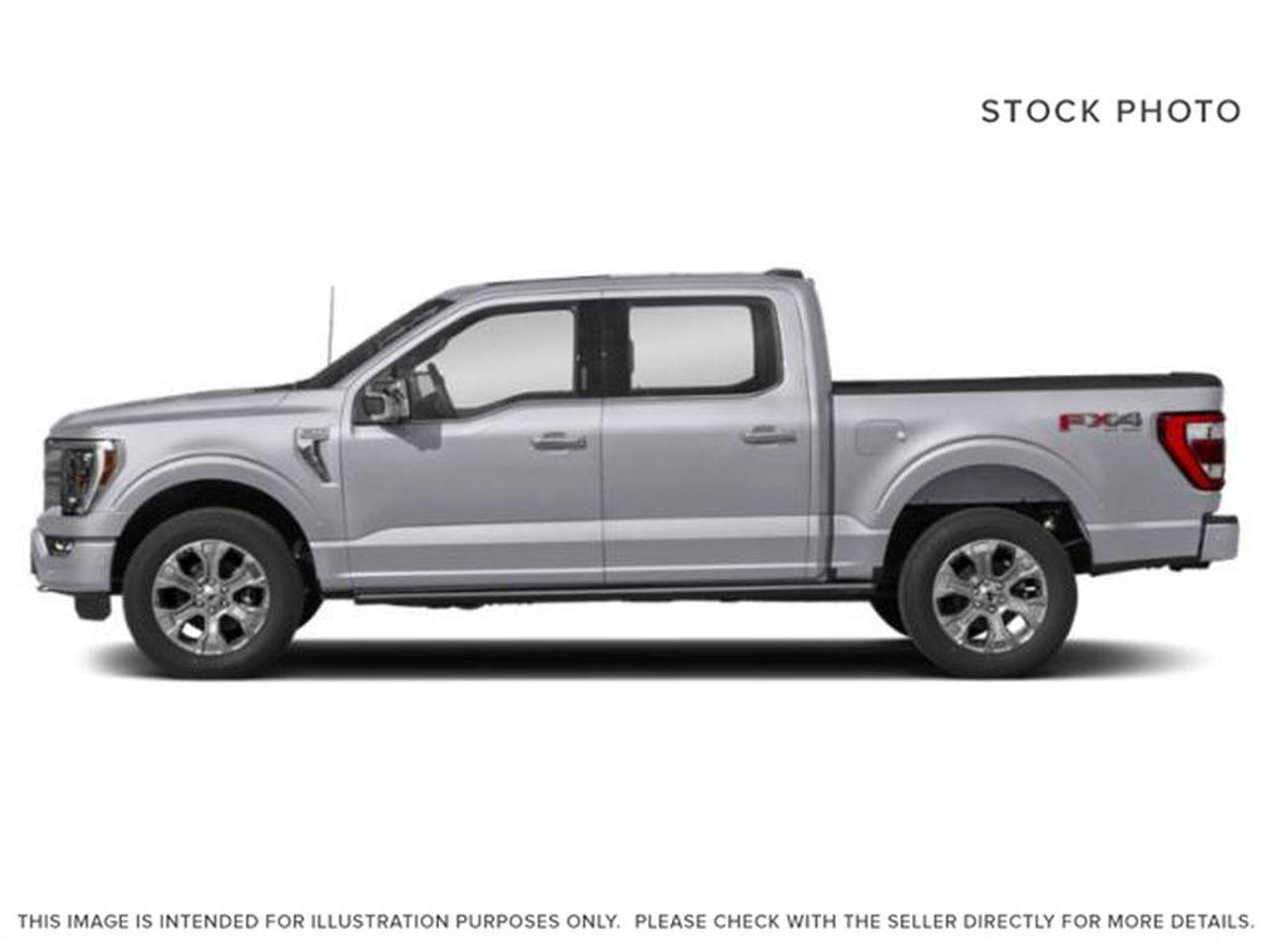 2021 Ford F-150 Platinum-3