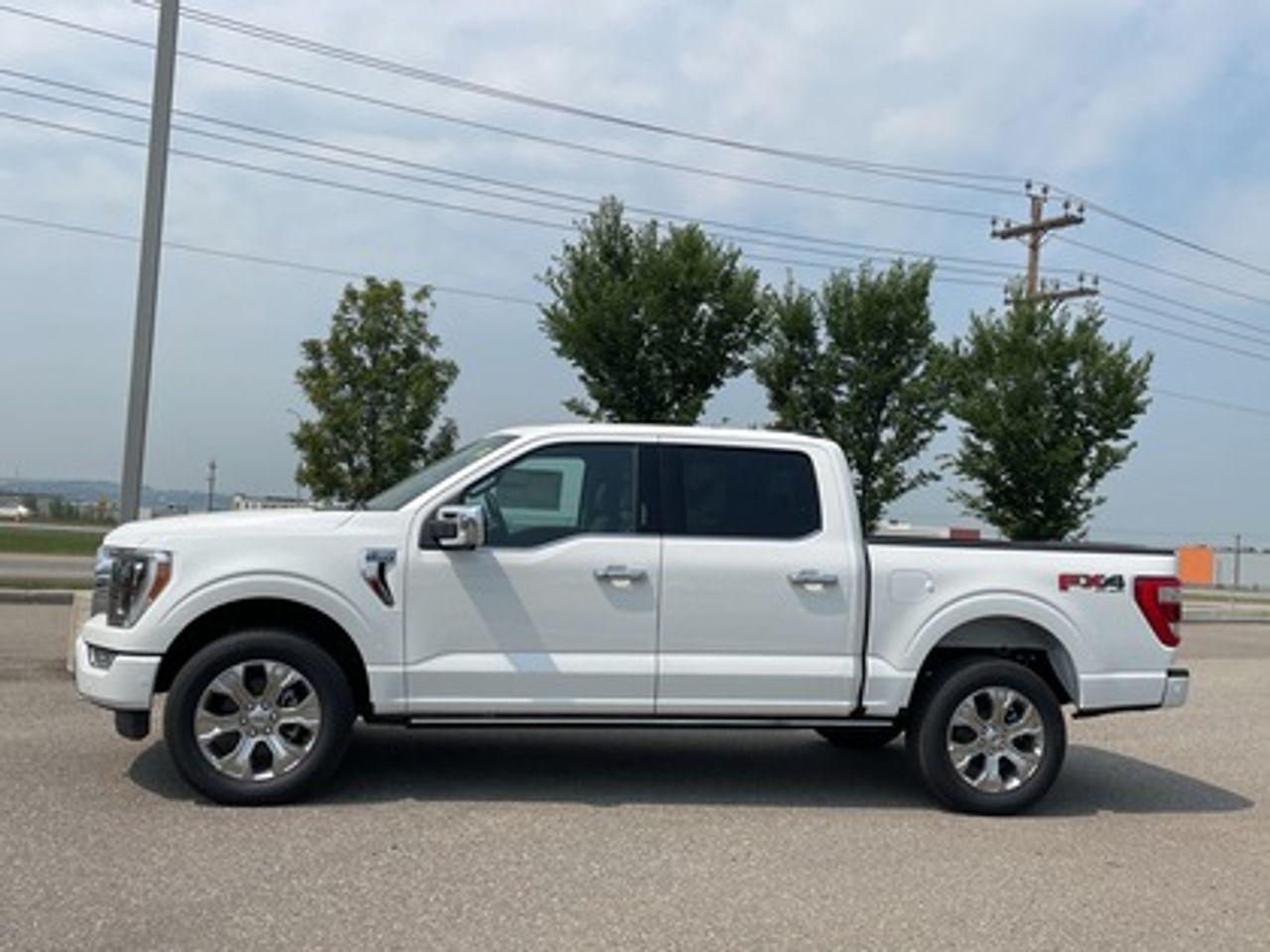 2021 Ford F-150 Platinum-2