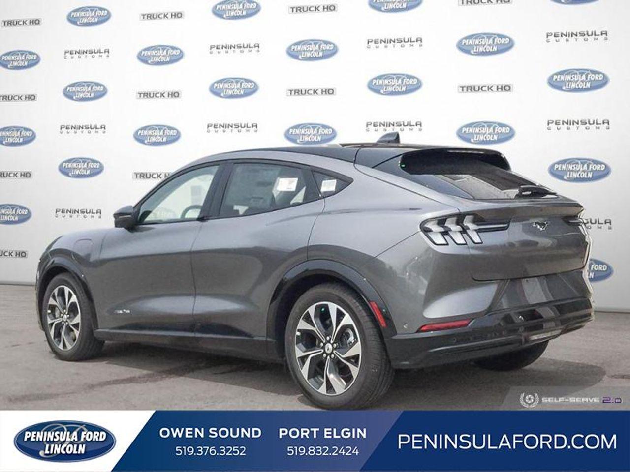 2021 Ford Mustang Mach-E -3