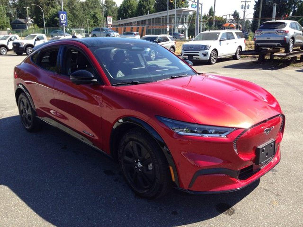 2021 Ford Mustang Mach-E -2