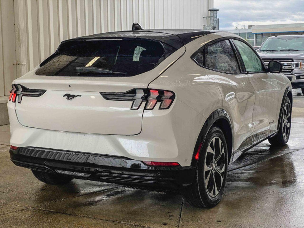 2021 Ford Mustang Mach-E -3