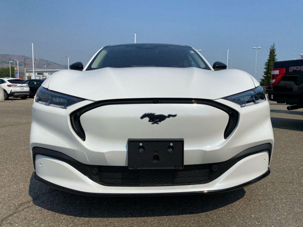 2021 Ford Mustang Mach-E -1