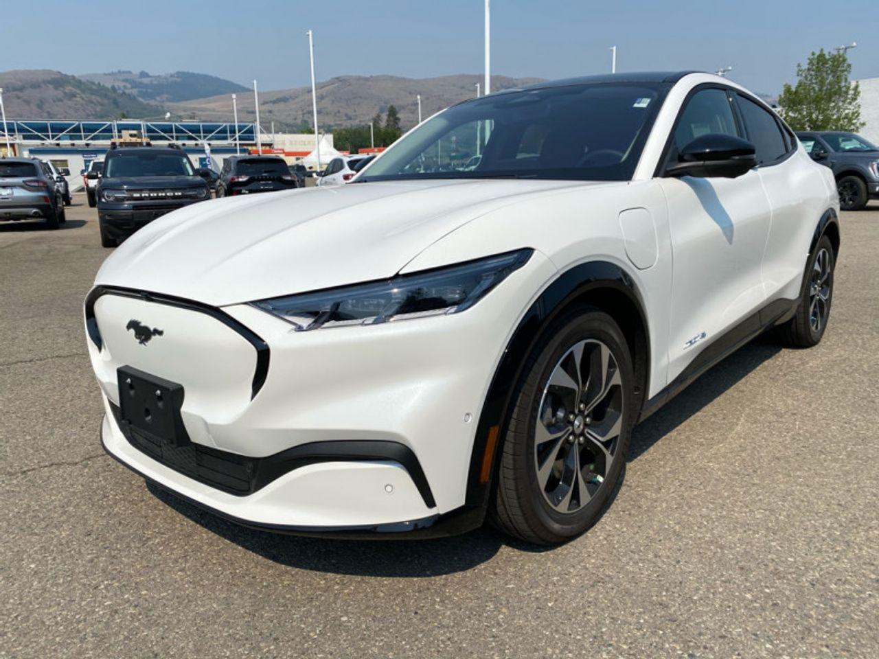 2021 Ford Mustang Mach-E -3