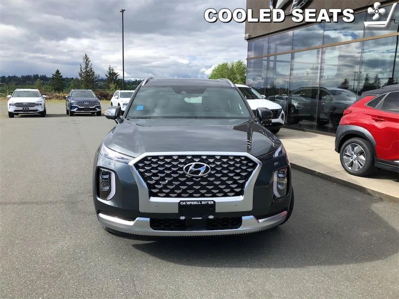 2021 Hyundai Palisade -1