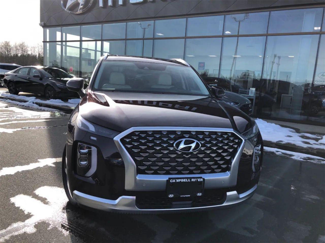 2021 Hyundai Palisade -1