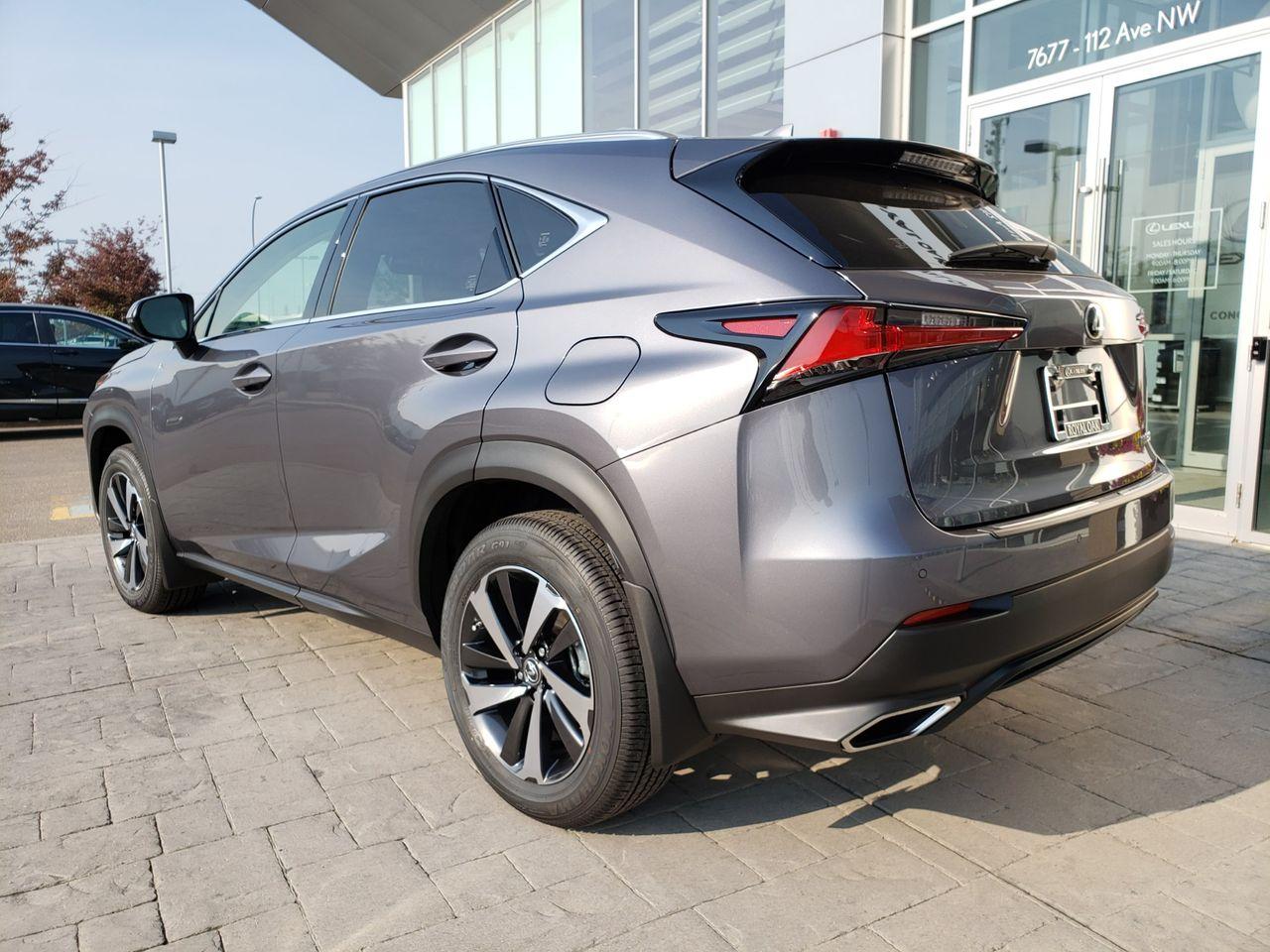 2021 Lexus NX 300 LUXURY-2