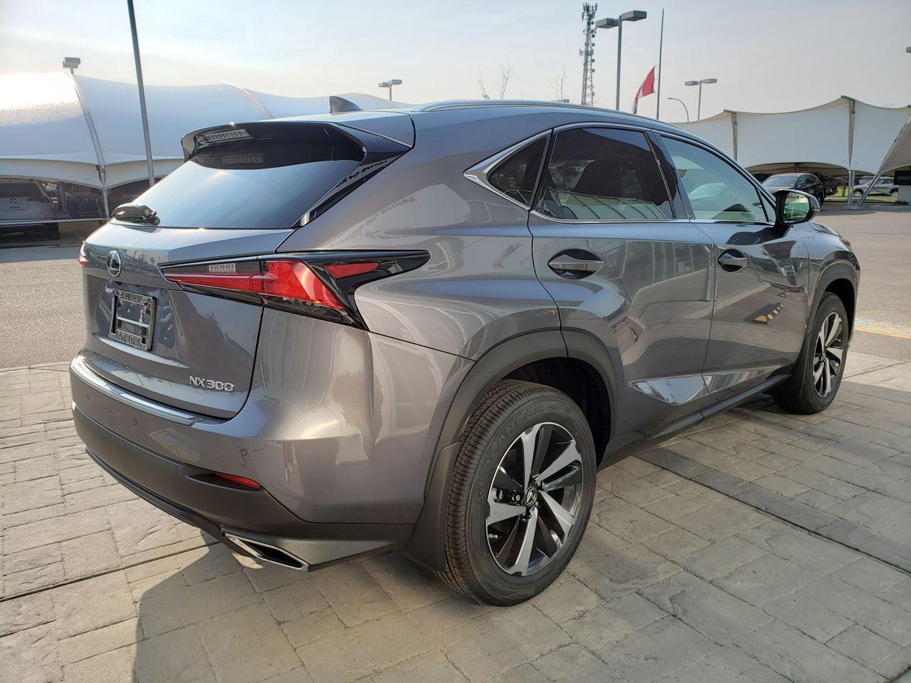 2021 Lexus NX 300 LUXURY-3