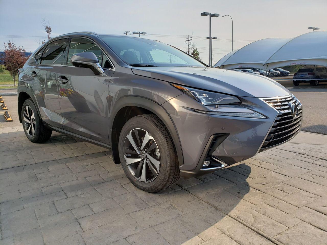 2021 Lexus NX 300 LUXURY-4