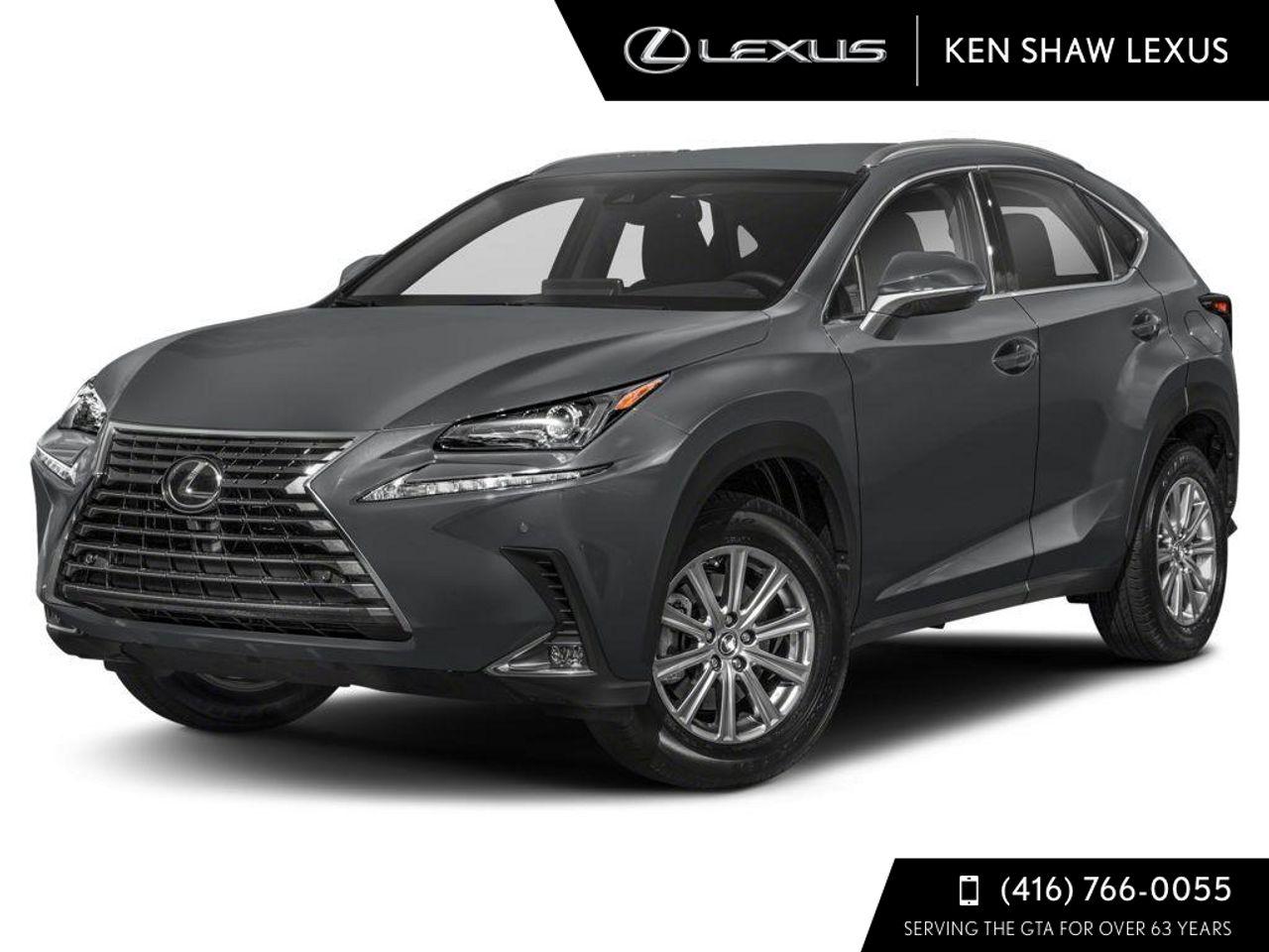 2021 Lexus NX 300 LUXURY-0