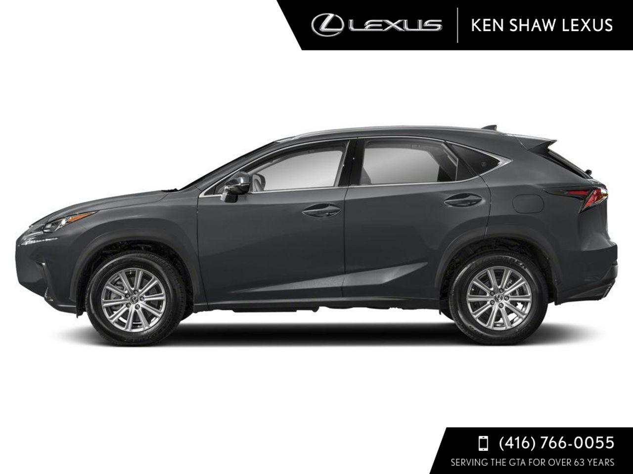 2021 Lexus NX 300 LUXURY-1