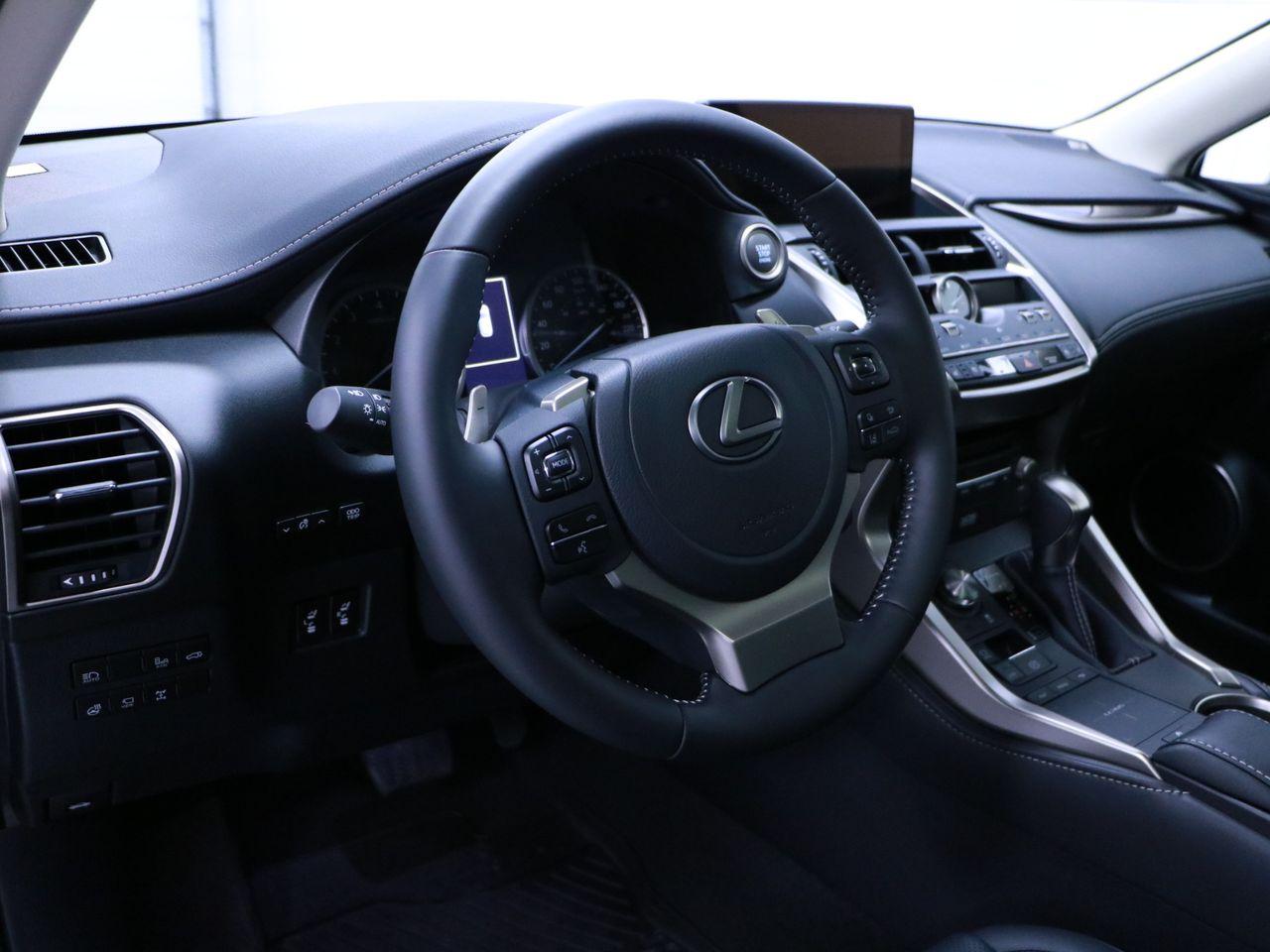 2021 Lexus NX 300 LUXURY-2