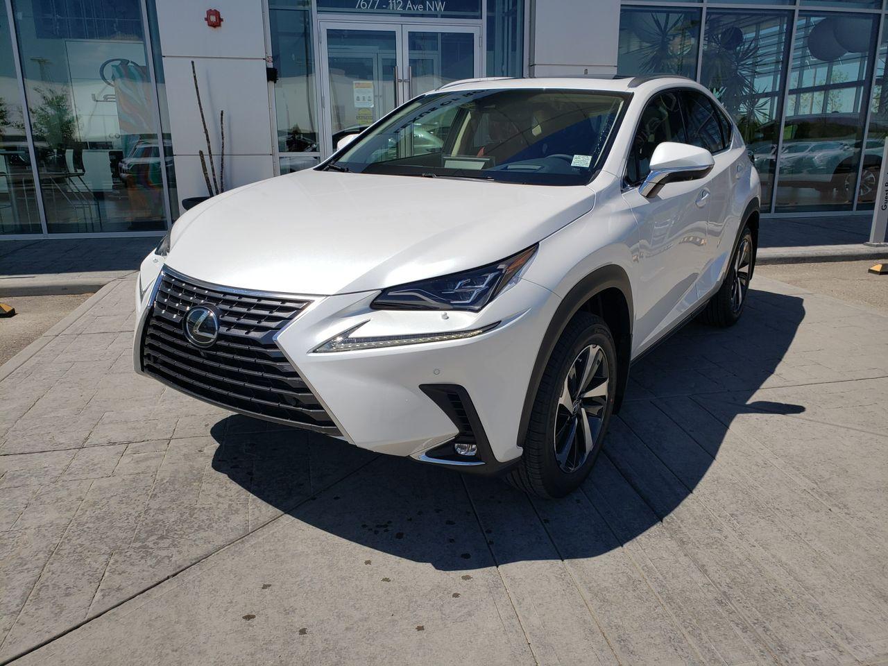 2021 Lexus NX 300 LUXURY-1