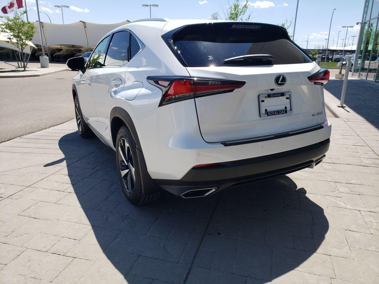 2021 Lexus NX 300 LUXURY-2