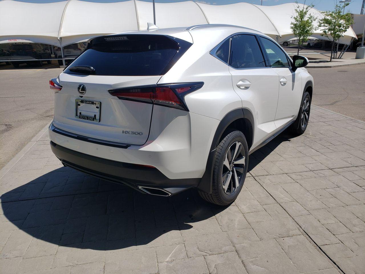 2021 Lexus NX 300 LUXURY-3