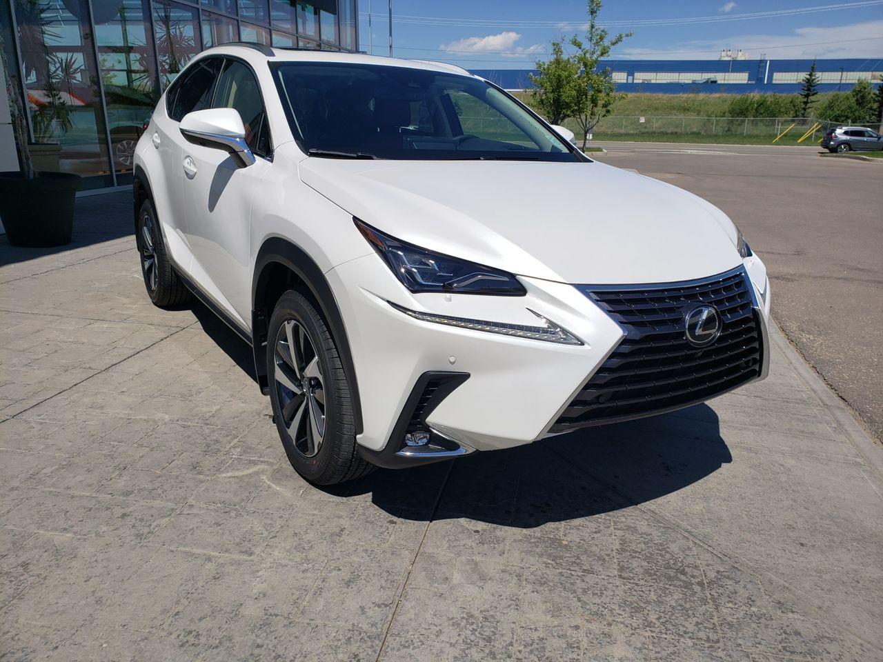 2021 Lexus NX 300 LUXURY-4