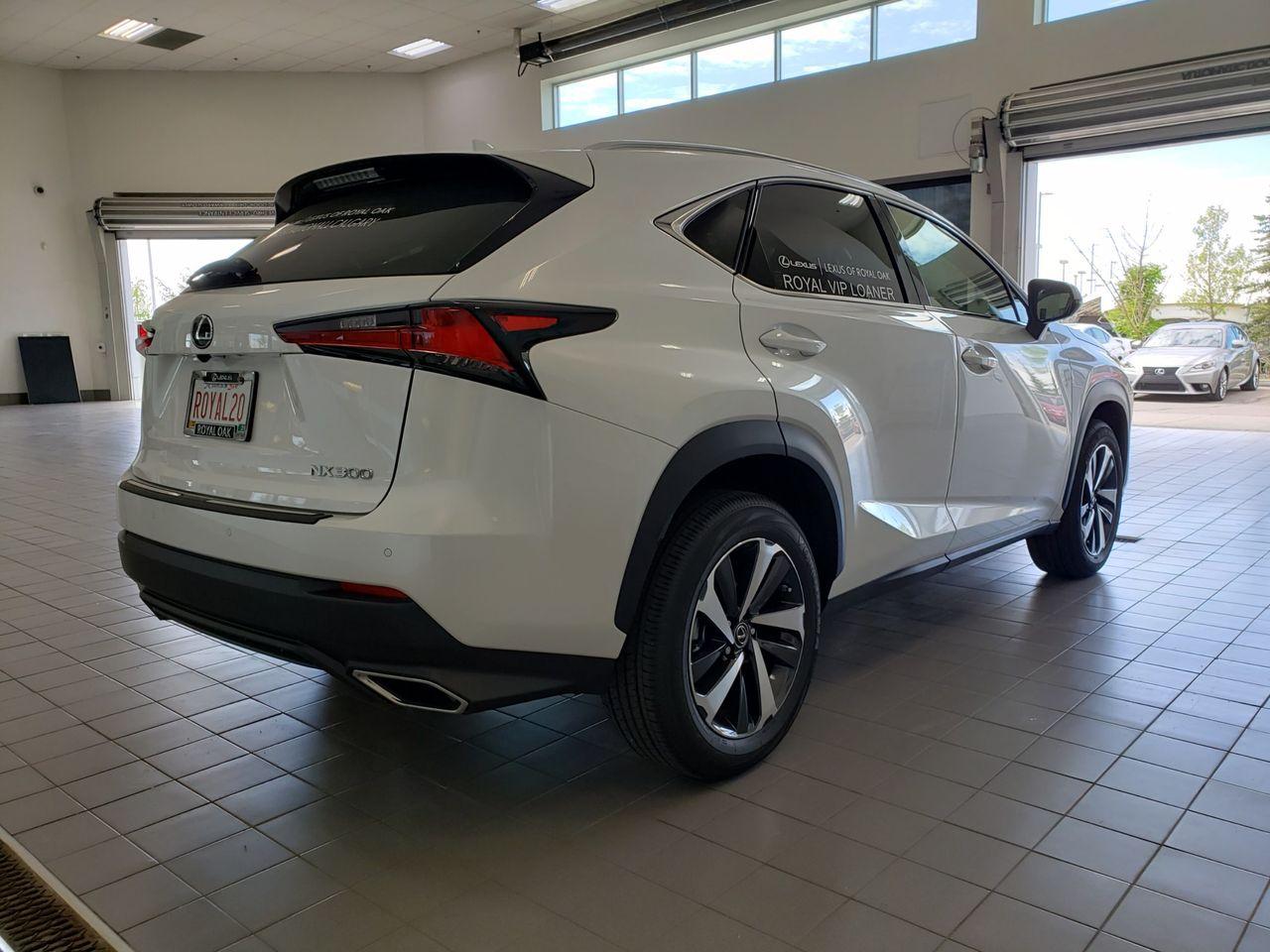 2021 Lexus NX 300 LUXURY-2