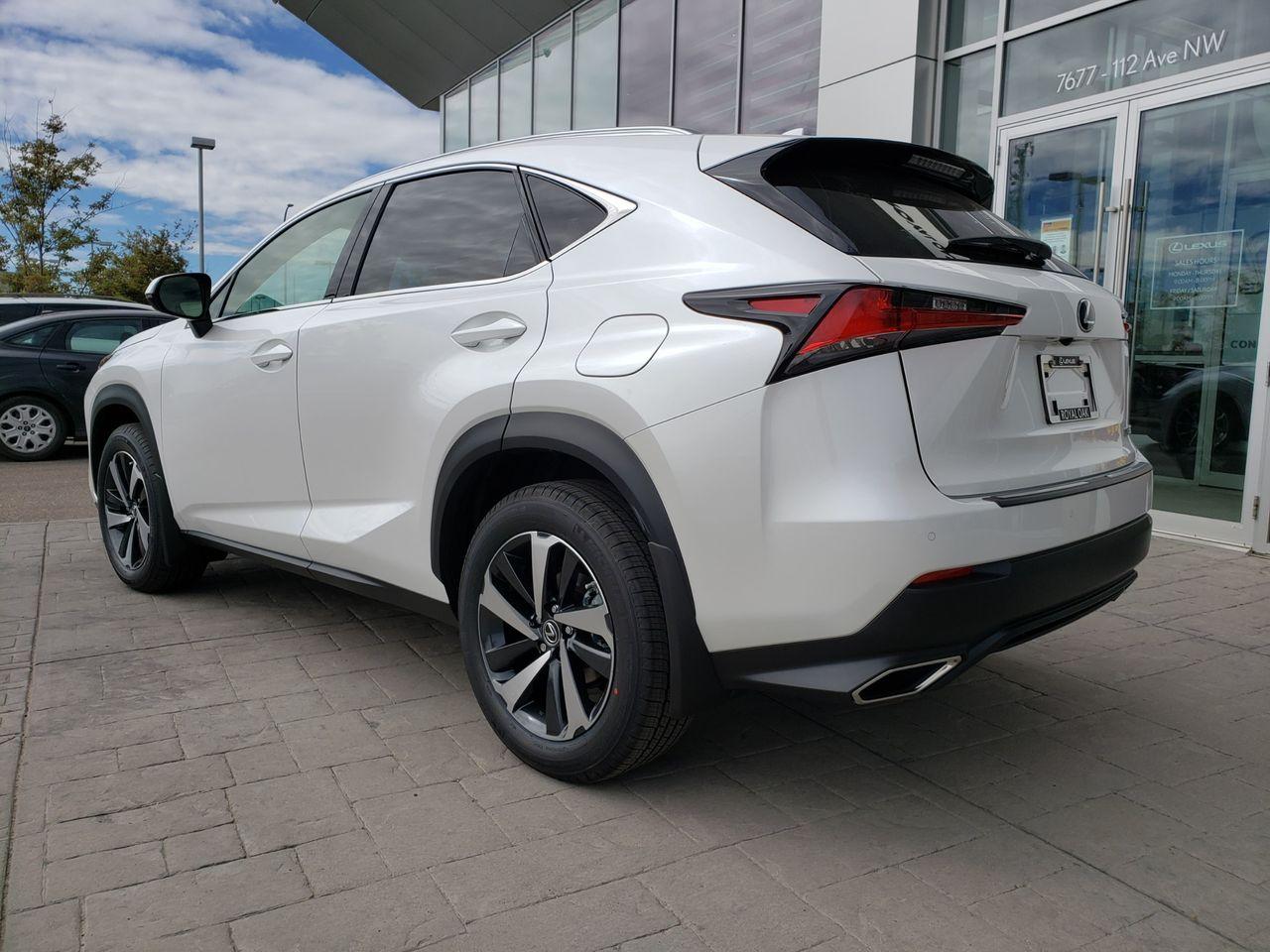 2021 Lexus NX 300 LUXURY-2
