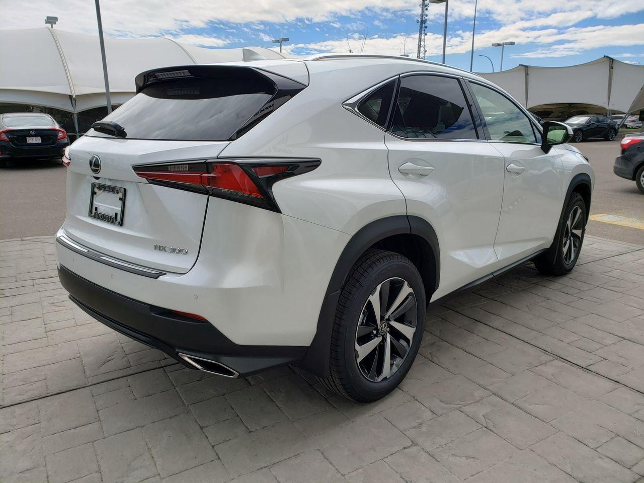 2021 Lexus NX 300 LUXURY-3